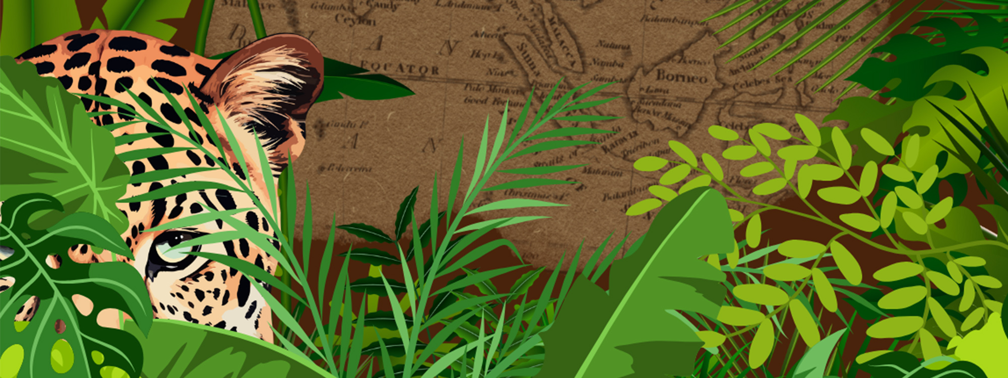 The Jaguar's Tomb Awaits