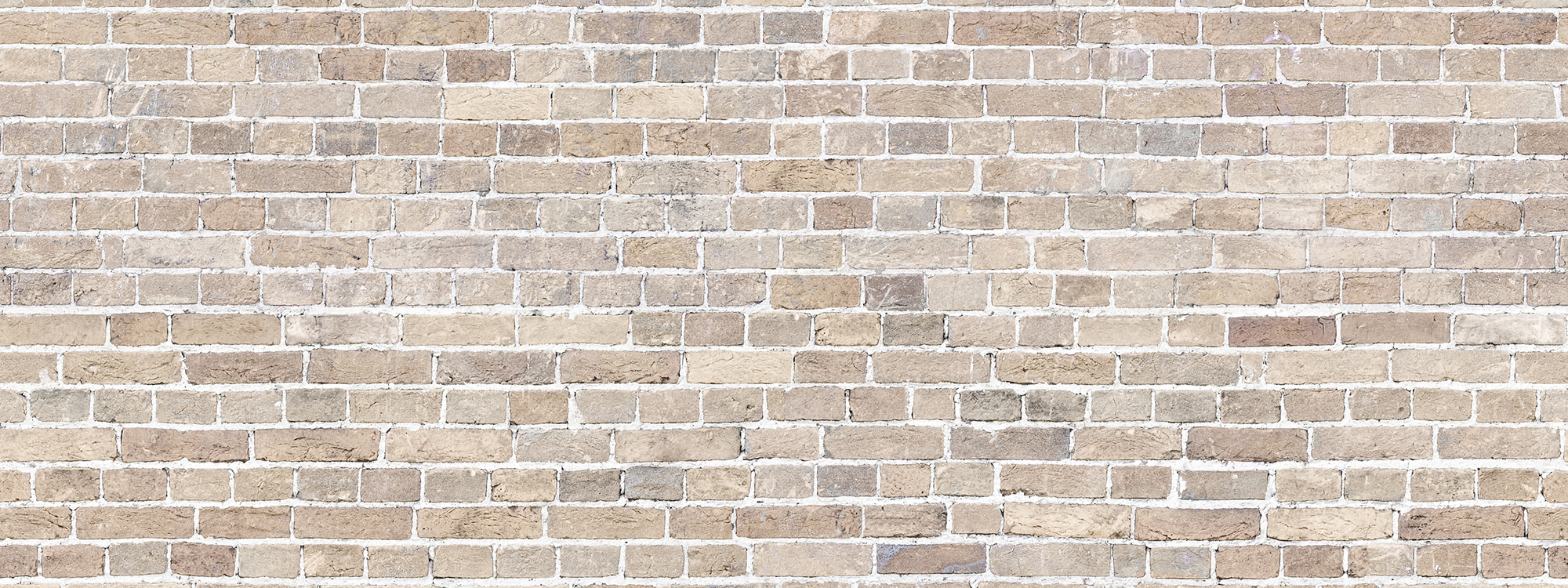 REASONS FOR BELIEVING IN GOD